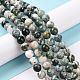 Natural Tree Agate Beads Strands US-G-K194-8mm-02-7