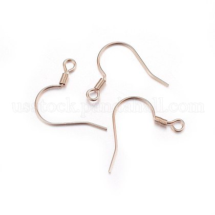 304 Stainless Steel Earring Hooks US-STAS-P210-22RG-1