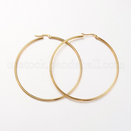 304 Stainless Steel Hoop Earrings US-EJEW-N0016-11G-K-1