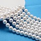 Shell Pearl Beads Strands US-SP8MM221-1