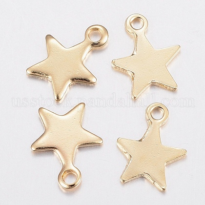 304 Stainless Steel Charms US-STAS-H436-51-1