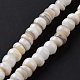 Natural Cultured Freshwater Shell Beads Strands US-SHEL-F002-01D-3