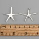 Brass Starfish/Sea Stars Pendants US-KK-BB11654-3