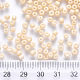 6/0 Baking Paint Glass Round Seed Beads US-SEED-S036-01C-19-3