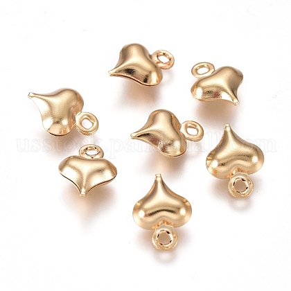 304 Stainless Steel Charms US-STAS-I138-11A-G-1