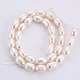 Natural Cultured Freshwater Pearl Beads Strands US-PEAR-Q015-036B-01-2