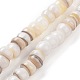 Natural Cultured Freshwater Shell Beads Strands US-SHEL-F002-01D-1
