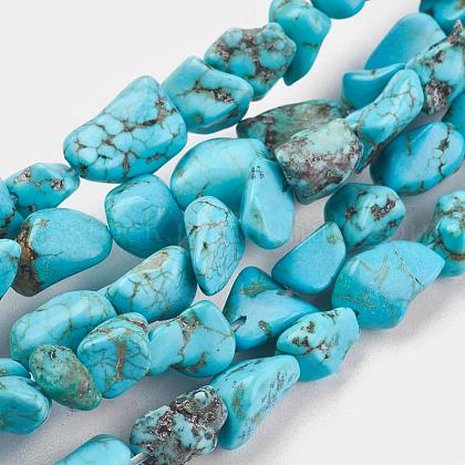 Natural Howlite Beads Strands US-X-TURQ-G101-03-1