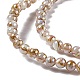 Drawbench Style Natural Freshwater Shell Beads Strands US-SHEL-F003-10A-4