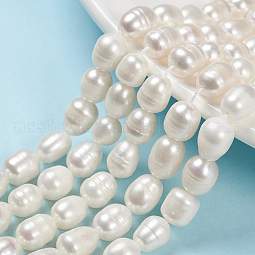 Natural Cultured Freshwater Pearl Beads Strands US-PEAR-S012-42