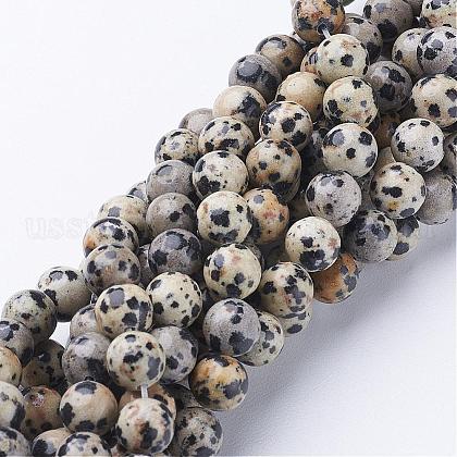 Natural Dalmatian Jasper Beads Strands US-GSR004-1