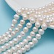 Natural Cultured Freshwater Pearl Beads Strands US-A23WZ011-1