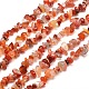Natural Carnelian Chip Bead Strands US-G-M205-40-1