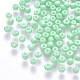 6/0 Baking Paint Glass Round Seed Beads US-SEED-S036-01C-02-1