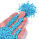 Baking Paint Glass Seed Beads US-SEED-S001-K10-4