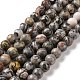 Natural Map Stone/Picasso Stone/Picasso Jasper Beads Strands US-G-D481-09-1