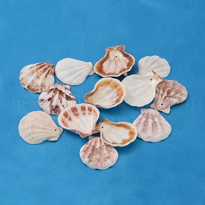 Natural Scallop Shell Beads US-BSHE-S108-1