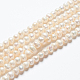 Natural Cultured Freshwater Pearl Beads Strands US-A23WT011-5