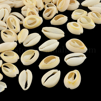 Natural Mixed Cowrie Shell Beads US-X-BSHE-S053-01-1