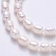 Natural Cultured Freshwater Pearl Beads Strands US-A23WB011-4