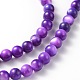 Natural Shell Beads Strands US-M-PRS001Y-3