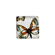 Butterfly Printed Glass Square Cabochons US-GGLA-N001-10mm-C-2