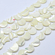 Natural White Shell Beads Strands US-X-SSHEL-12X11-3