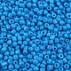 Baking Paint Glass Seed Beads US-SEED-S002-K17-2