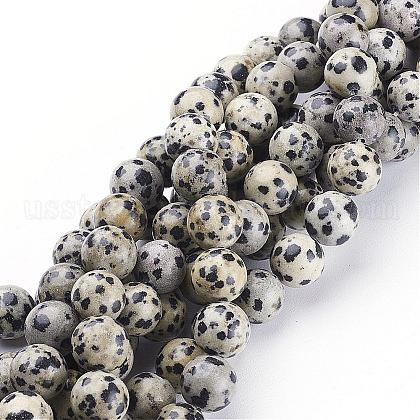 Natural Dalmatian Jasper Beads Strands US-GSR10mmC004-1