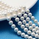 Polished Shell Pearl Round Beads Strands US-SP6MM701-1