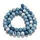 Natural Gemstone Beads Strands US-G-L367-01-10mm-6