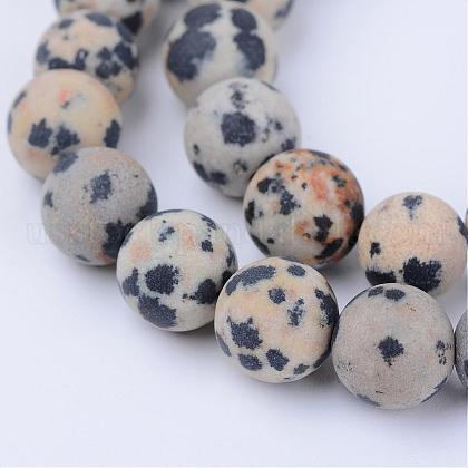 Natural Dalmatian Jasper Beads Strands US-G-Q462-10mm-05-1