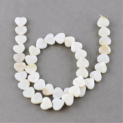 Natural Sea Shell Beads Strands US-SSHEL-Q296-40-1
