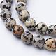 Natural Dalmatian Jasper Beads Strands US-GSR004-2